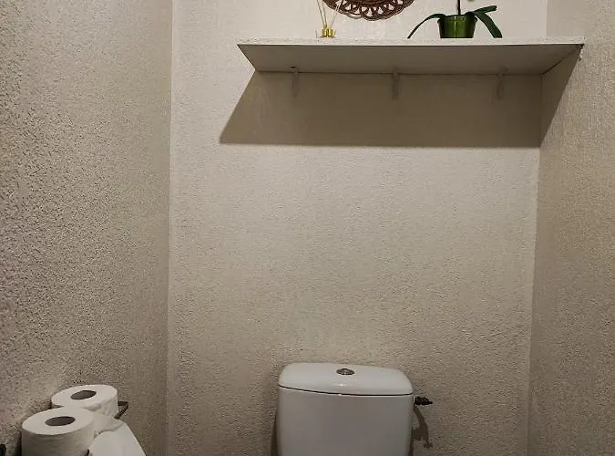 Appartement Le Bokeh - Face A La Cite Medievale Carcassonne