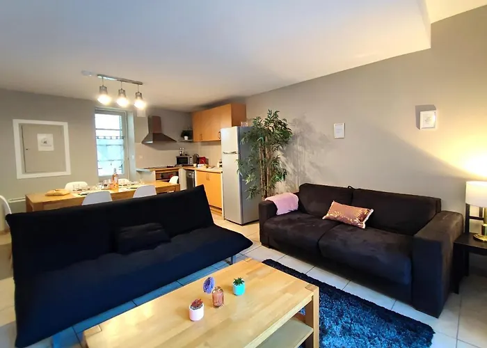 Apartment Le Bokeh - Face A La Cite Medievale *