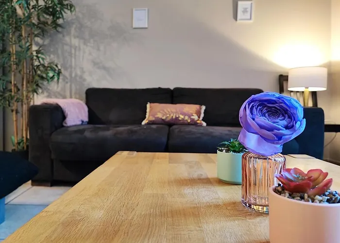 Le Bokeh - Face A La Cite Medievale Appartement Carcassonne