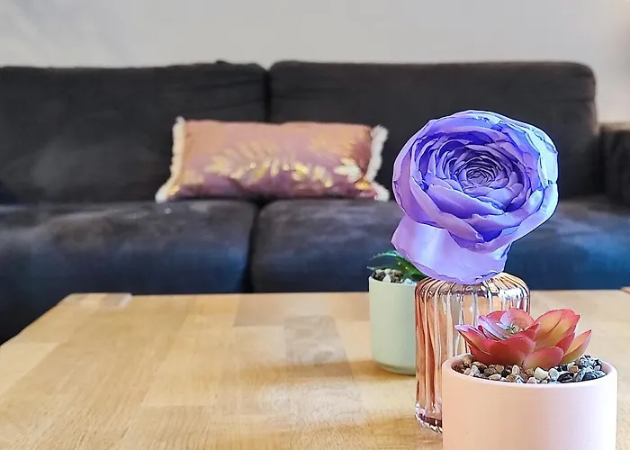 Le Bokeh - Face A La Cite Medievale * Carcassonne